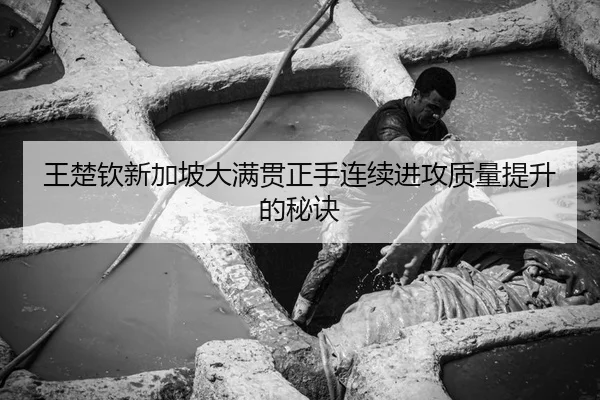 王楚钦新加坡大满贯正手连续进攻质量提升的秘诀