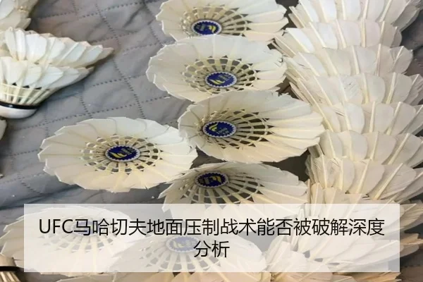 UFC马哈切夫地面压制战术能否被破解深度分析