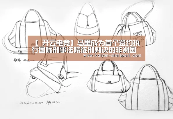【 开云电竞】马里成为首个签约执行国际刑